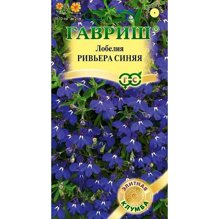 фото Лобелия Ривьера Синяя 4шт Одн 13см (Гавриш) Элитная клумба