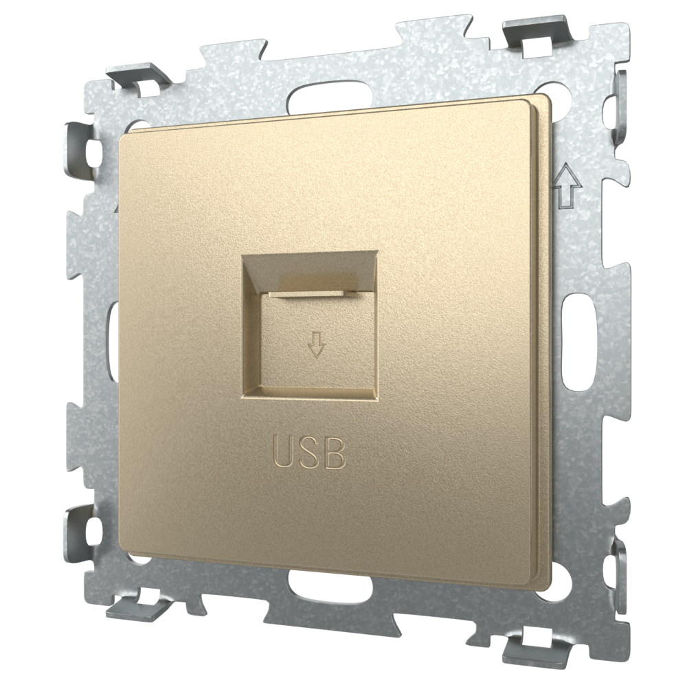 фото Розетка USB 2.1А цвет шампань CGSS Эстетика GL-W201U-BGG