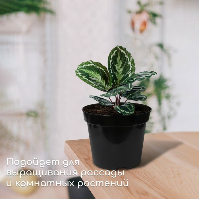 Горшок для рассады, 3 л, d = 19 см, h = 15 см, чёрный, Greengo - фотография № 3