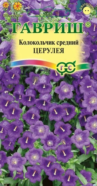 Колокольчик Церулея средний* 01 г Н9