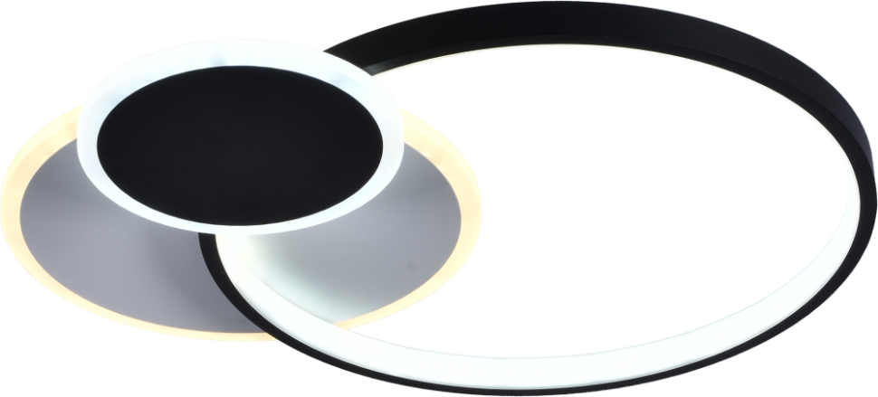 Светодиодная диммируемая люстра с пультом ДУ Rivoli Julia 6080-108 (Б0052414) - фото №1
