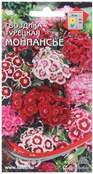 Семена цветов Гвоздика турецкая "Монпасье", 40 шт (комплект из 43 шт)