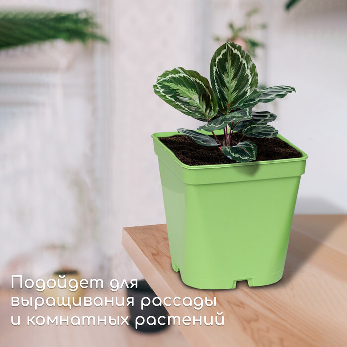 Горшок для рассады, 3 л, d = 16,5 см, h = 16 см, зелёный, Greengo - фотография № 3