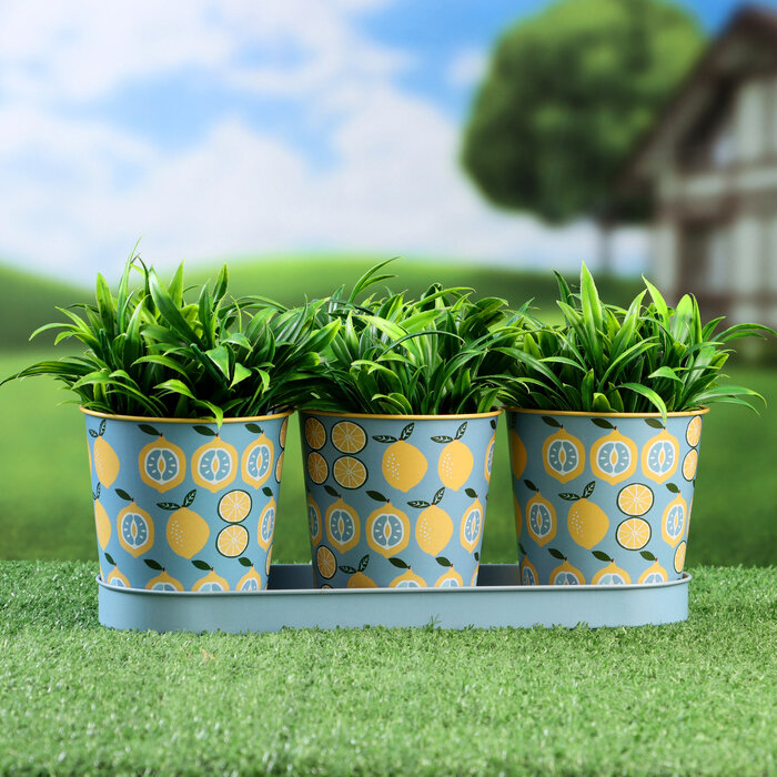 фото Набор кашпо на подставке "Ведерко" лимоны, 29х10х10см