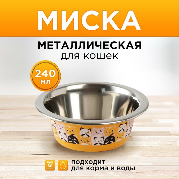 Миска металлическая для кошки «Котики», 240 мл, 11х4 см - фотография № 1