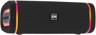 Портативная акустика SoundMAX SM-PS5019B черный