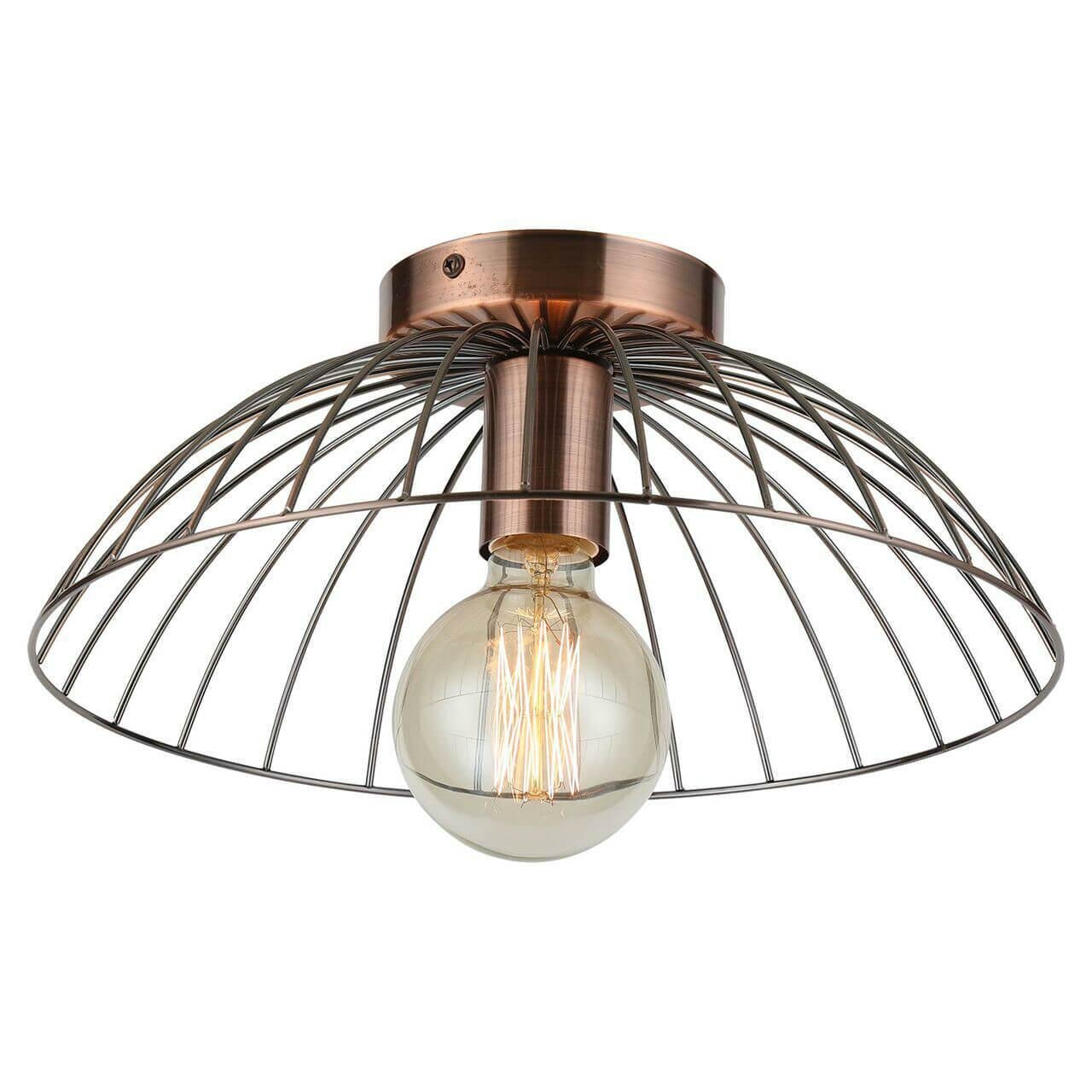 фото Потолочный светильник Lussole Loft Brooks GRLSP-8249