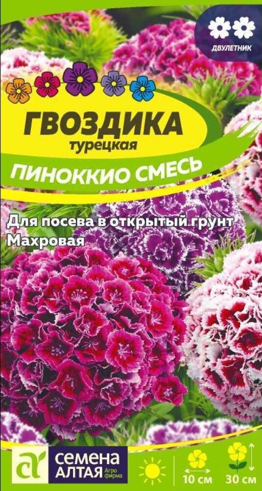 Гвоздика турецкая Пиноккио 01г Дв 30см (Сем Алт)