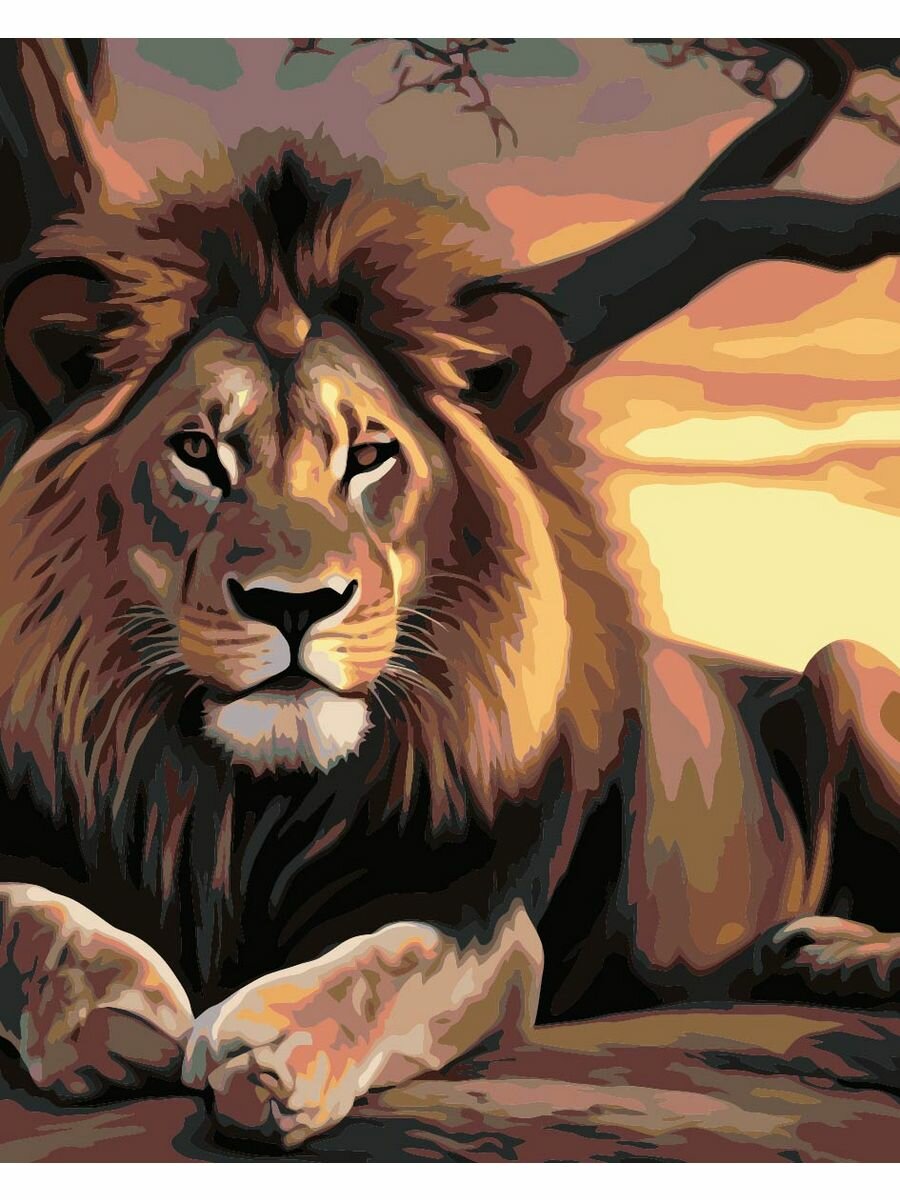 Картина по номерам АртГрафик на холсте лев царь зверей Размер 40х50 см, деревянный подрамник, кисти, акриловая краска