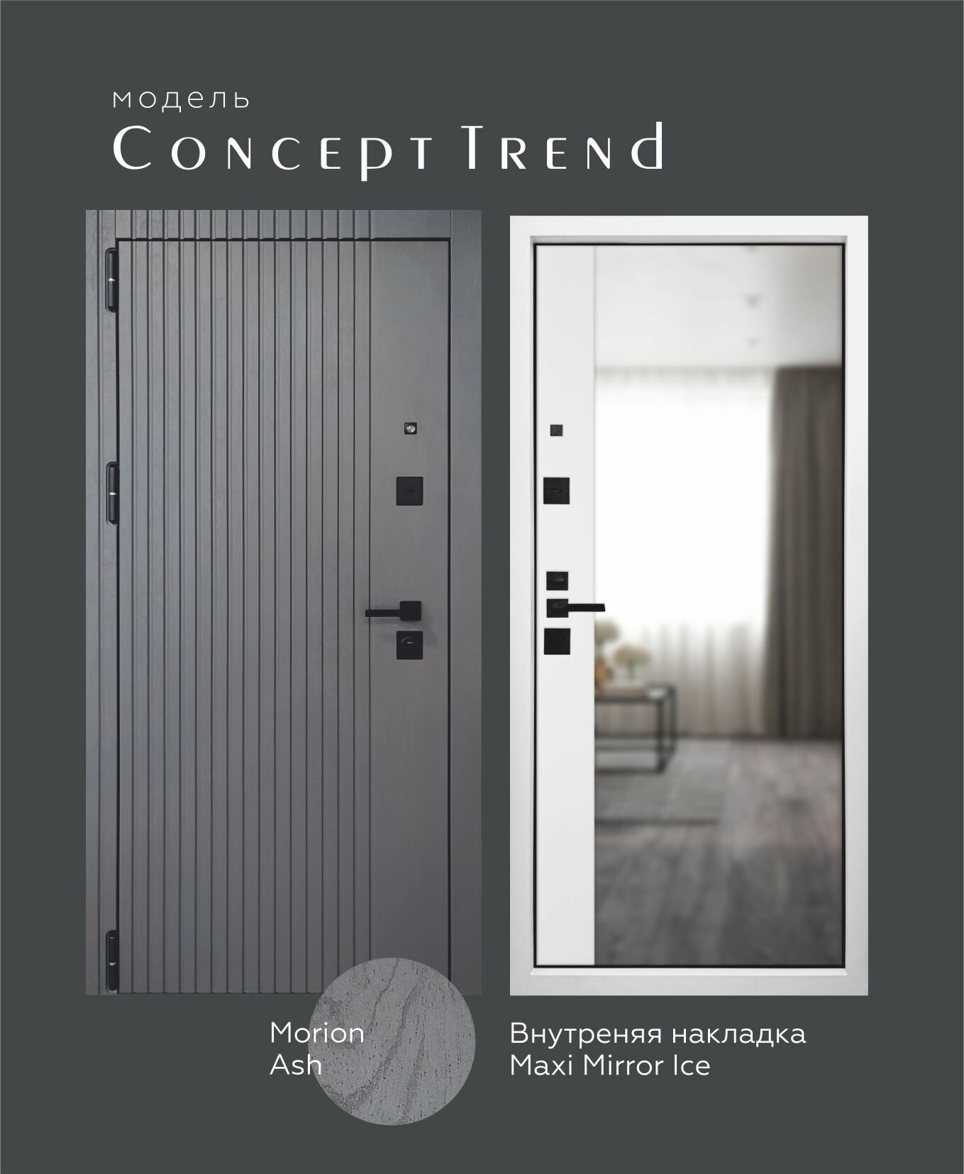 Металлическая входная дверь Concept Trend 950x2030 L Morion Ash/Maxi Mirror Ice (зеркало) - фотография № 1