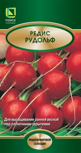 Редис Рудольф 2г Ранн (Поиск)