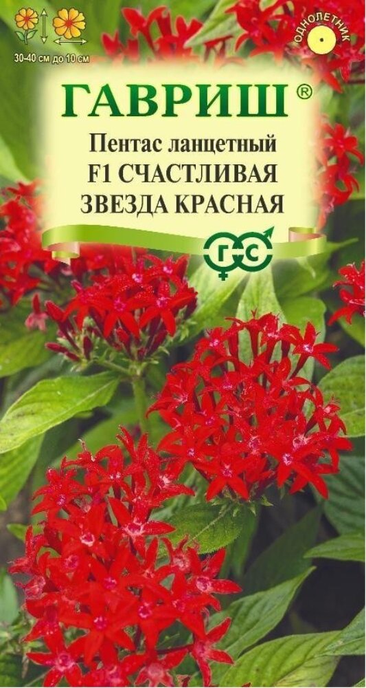 Пентас Счастливая звезда красная ланцетный F1 3шт Одн 40см (Гавриш) Н23