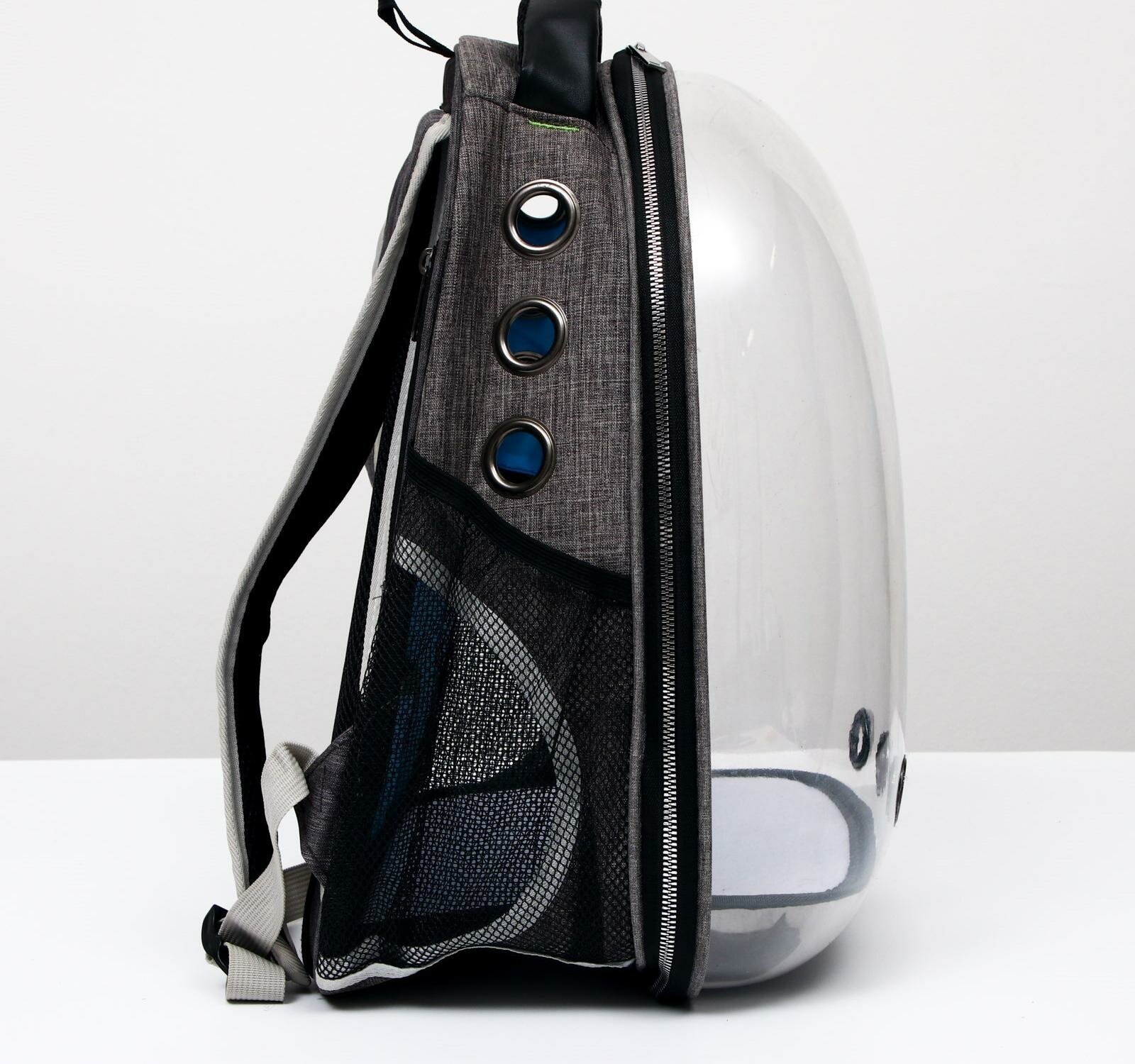 Рюкзак для переноски животных прозрачный, 31 х 28 х 42 см, голубой - фотография № 2