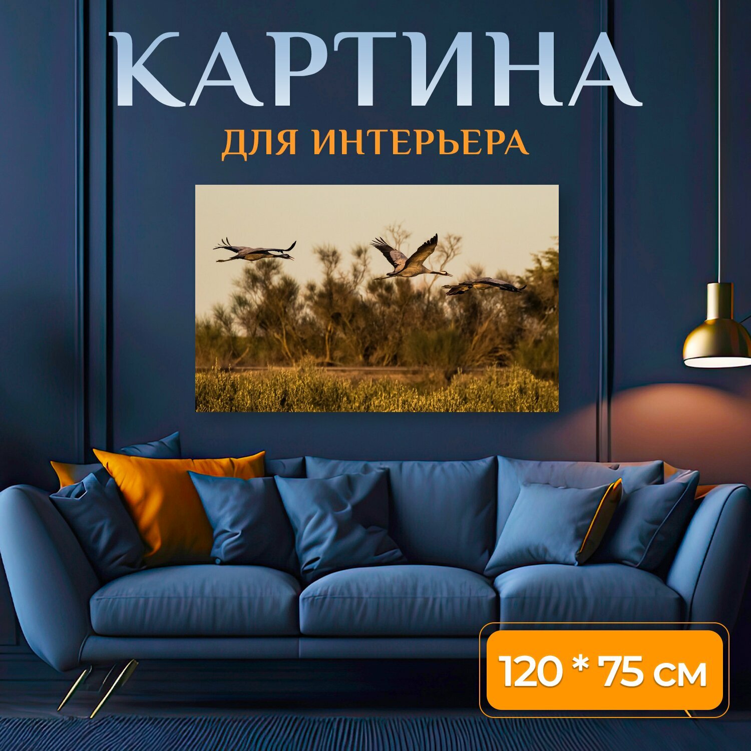 Картина на холсте "Испания, экстремадура, серый журавль" на подрамнике 120х75 см. для интерьера