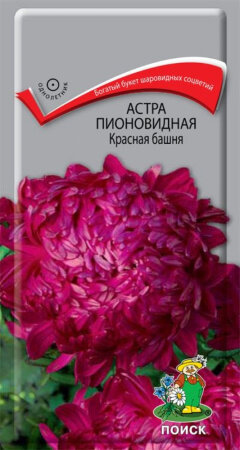 Астра Башня Красная пионовидная 03г Одн 65см (Поиск)