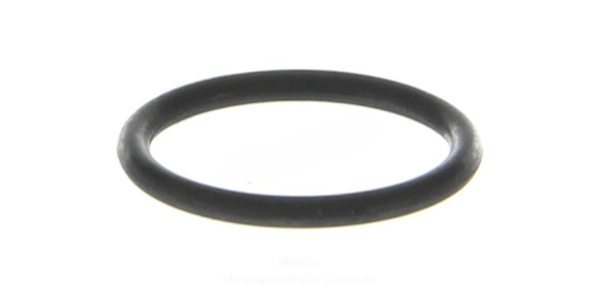 Кольцо уплотнительное 16.5*20.5*2 маслоприемника ВАЗ-2108 2108-1010075 (БалаковоЗапчасть)