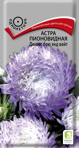 Астра Дюшес Блю энд Вайт пионовидная 03г Одн 70см (Поиск)