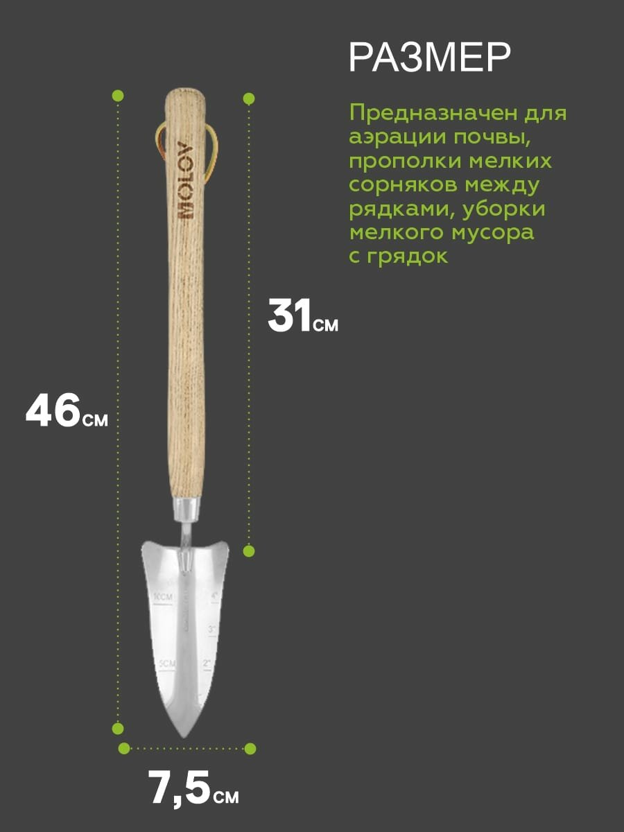 Совок Посадочный нерж.сталь с удлиненной дерев.ручкой `OLOV Эколайн` - фотография № 2