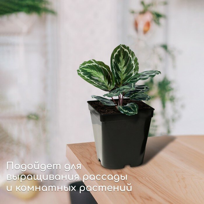 Горшок для рассады, 3 л, d = 15 см, h = 15 см, чёрный, Greengo - фотография № 3