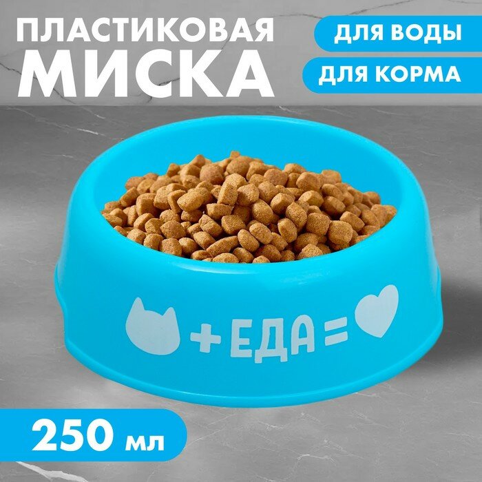 Миска пластиковая «Еда для кота», 250 мл, голубая - фотография № 1