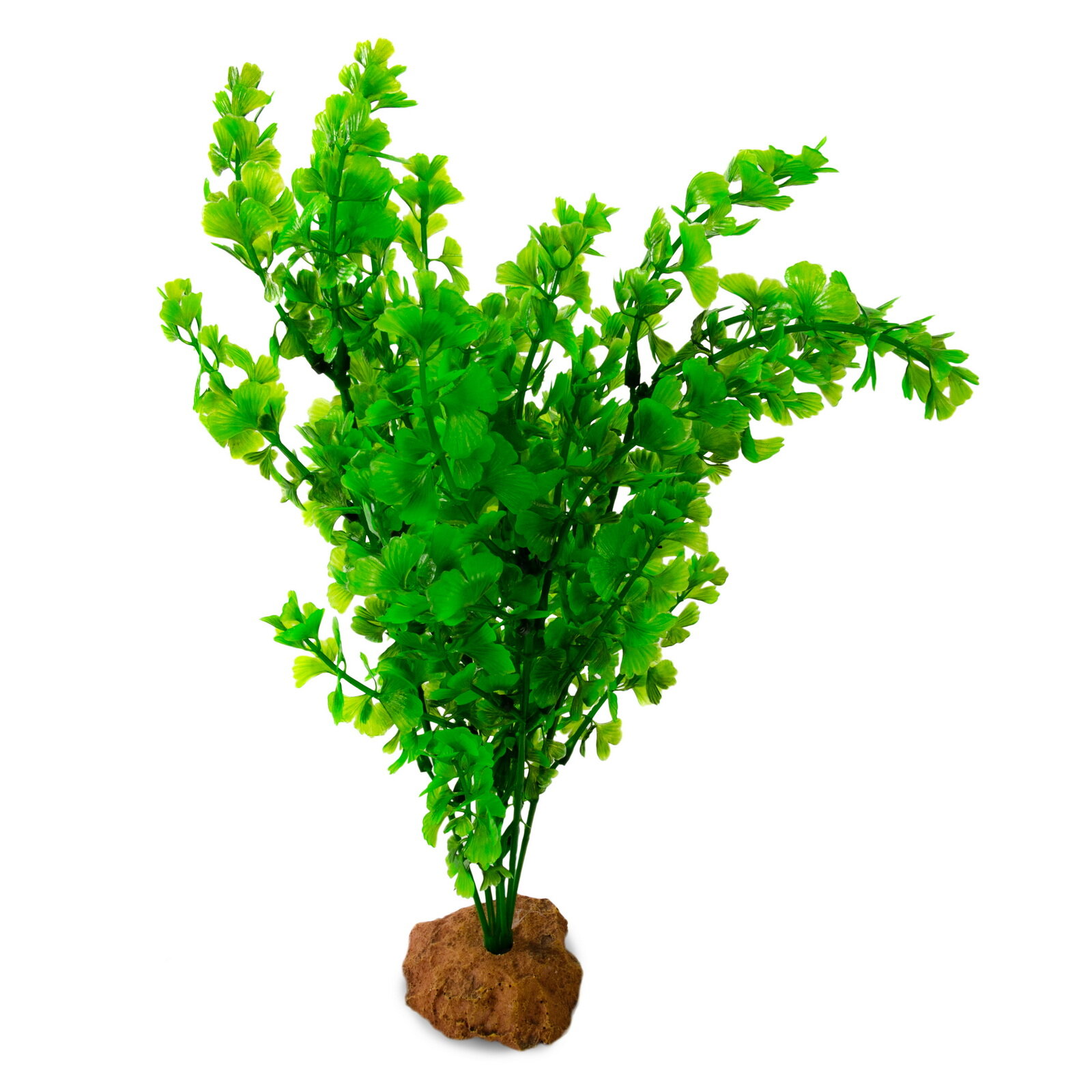 Декоративное растение для террариумов EXOPRIMA 
