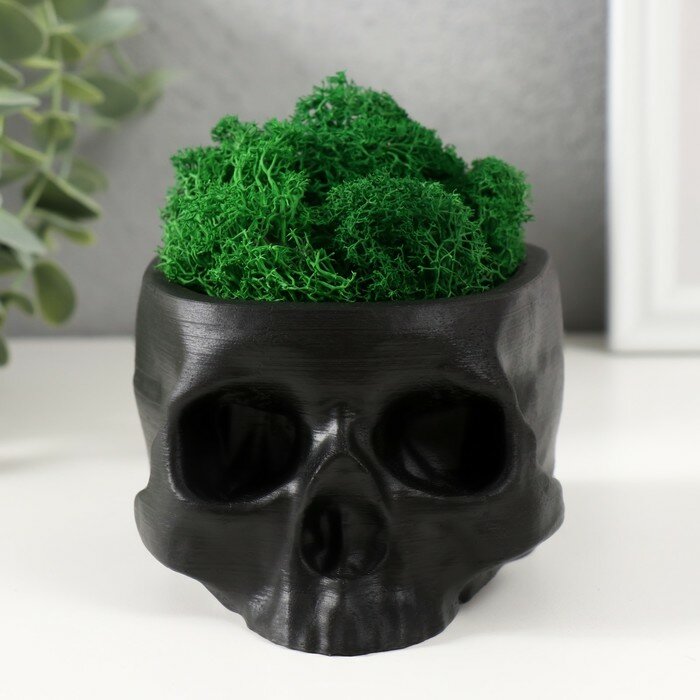 фото Кашпо бетонное "Череп" со мхом черный 13х9х6,5 см (мох зеленый стабилизированный)
