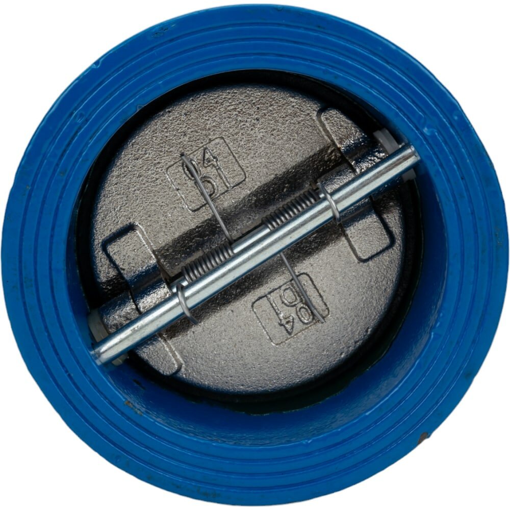 фото Двухдисковый межчугунный обратный клапан Ci D100-01754