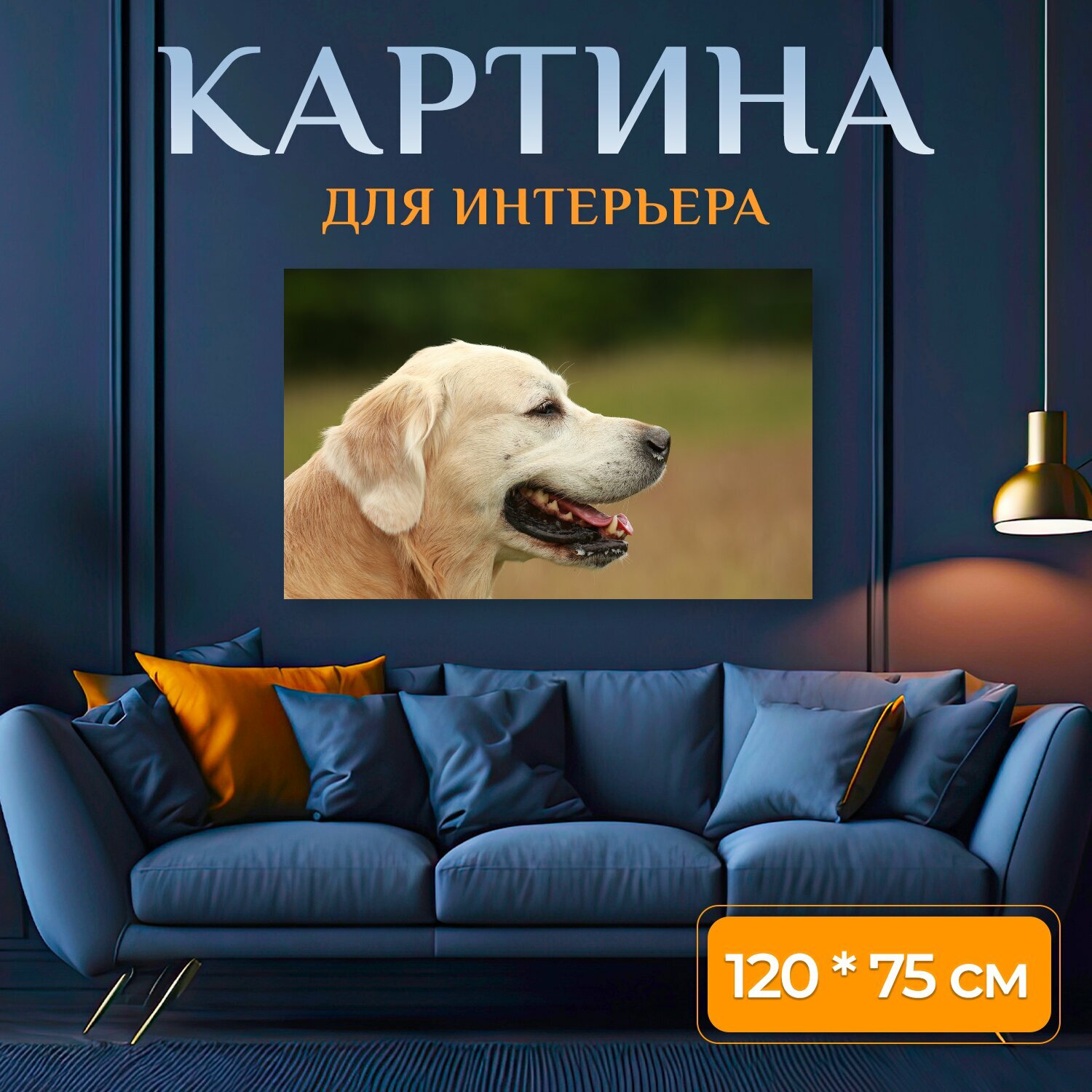 Картина на холсте "Золотистый ретривер, профиль, домашнее животное" на подрамнике 120х75 см. для интерьера