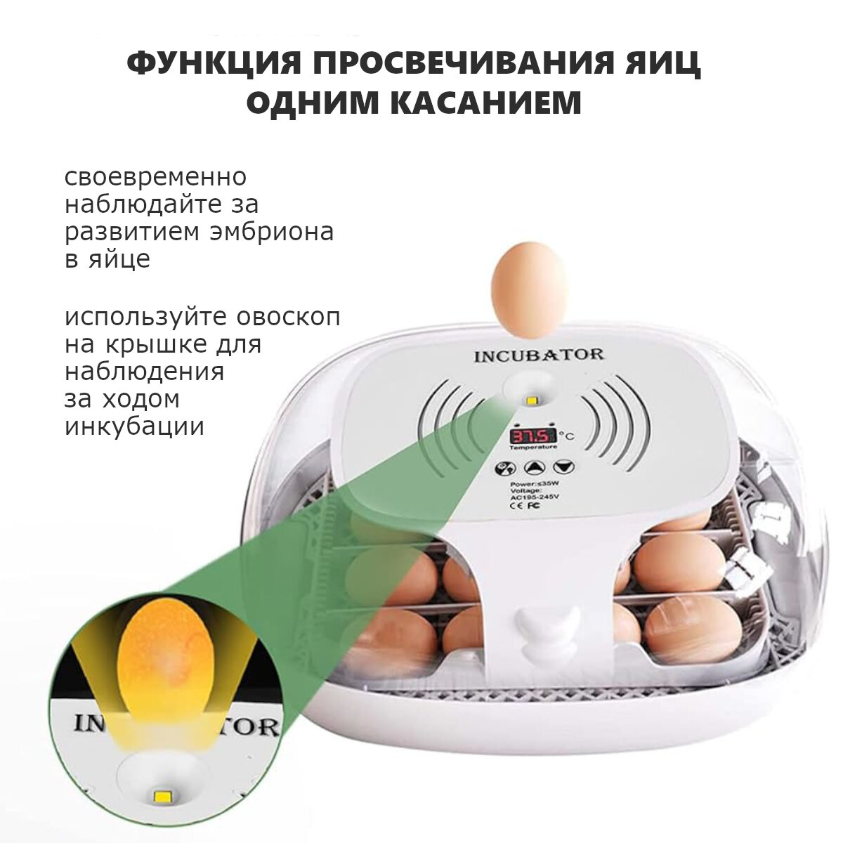 Инкубатор HHD 16 Wonegg мини автоматический для яиц с овоскопом - фотография № 4