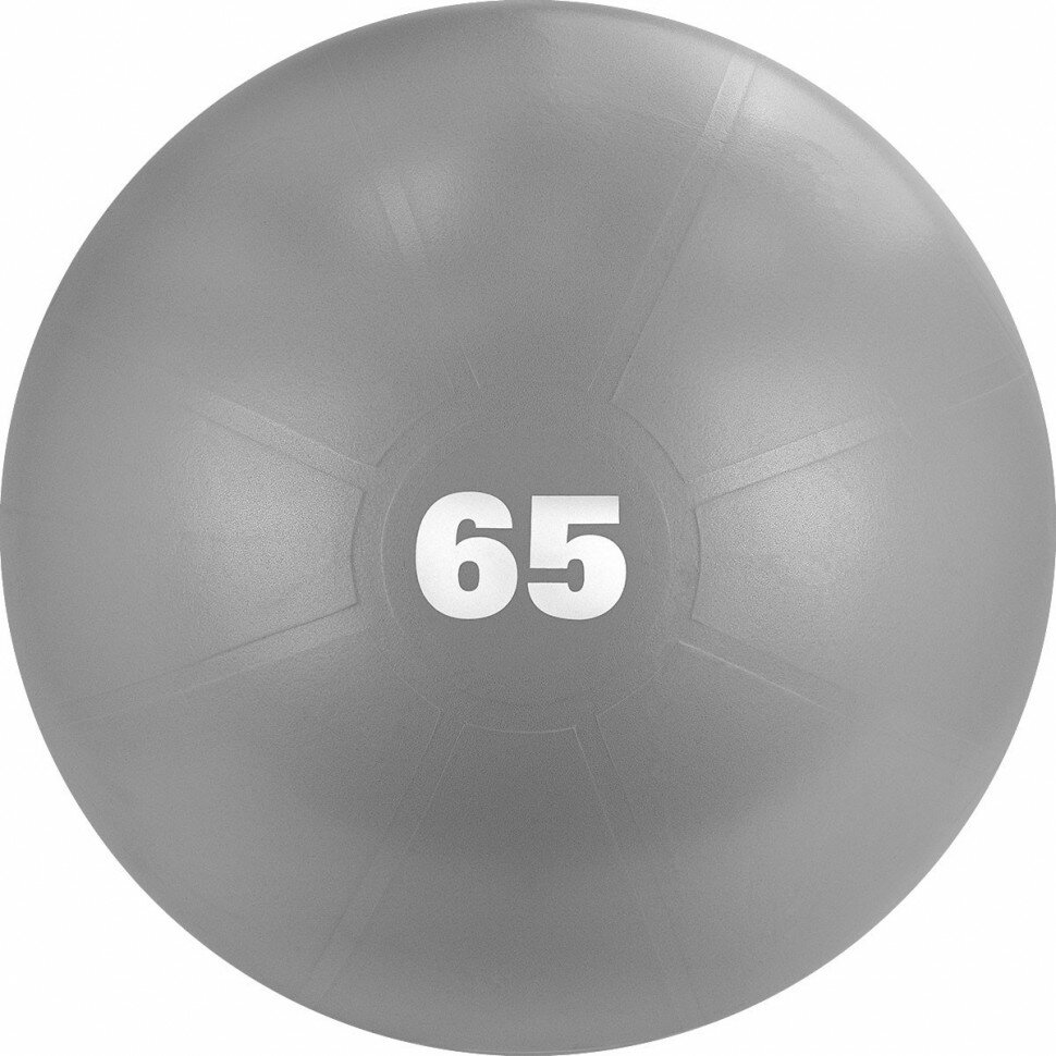 Мяч гимнастический TORRES AL122165GR, 65 см, с защитой от взрыва, с насосом