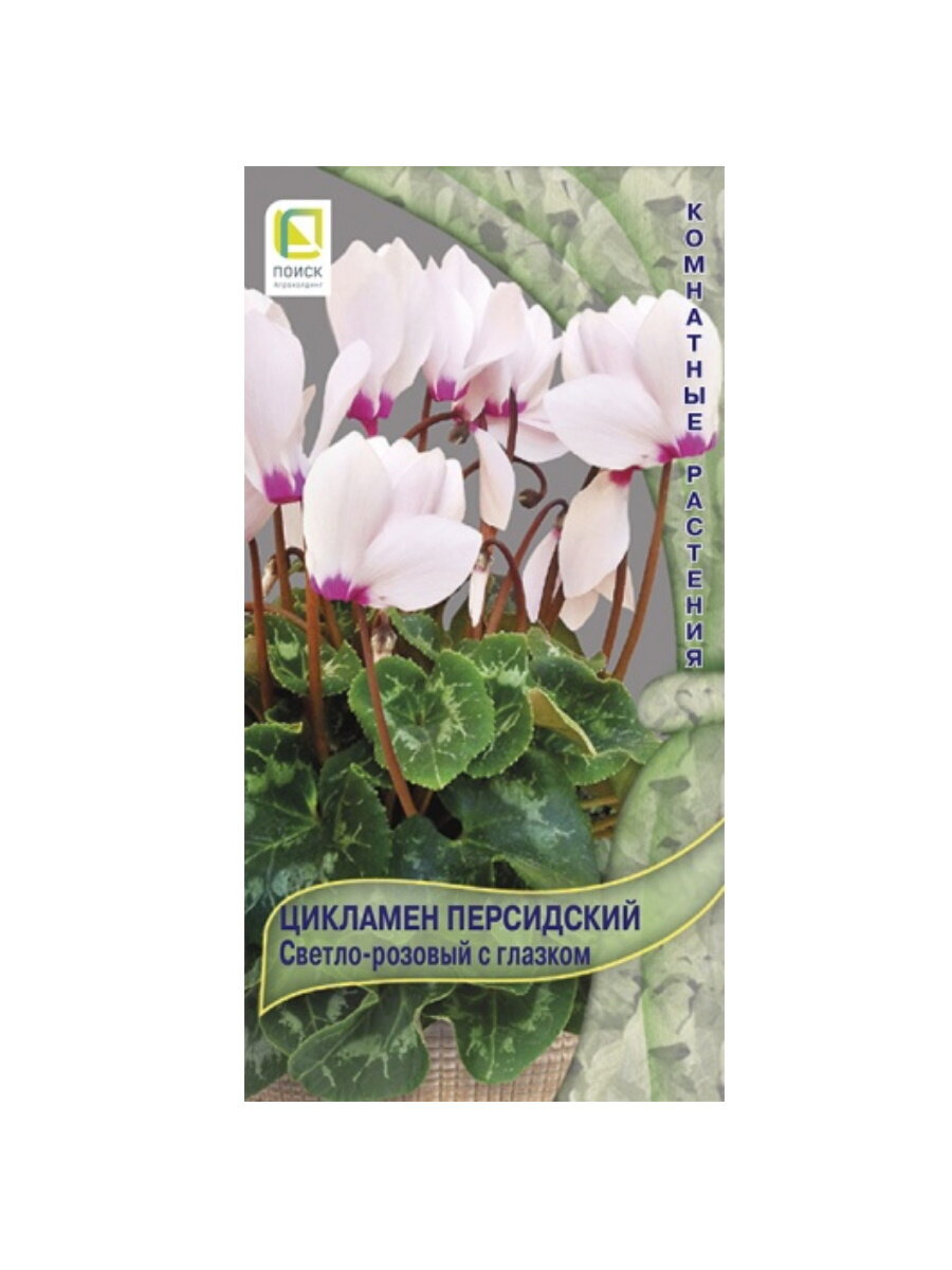 фото Семена Цикламен персидский Светло-розовый с глазком 2 шт./упак.