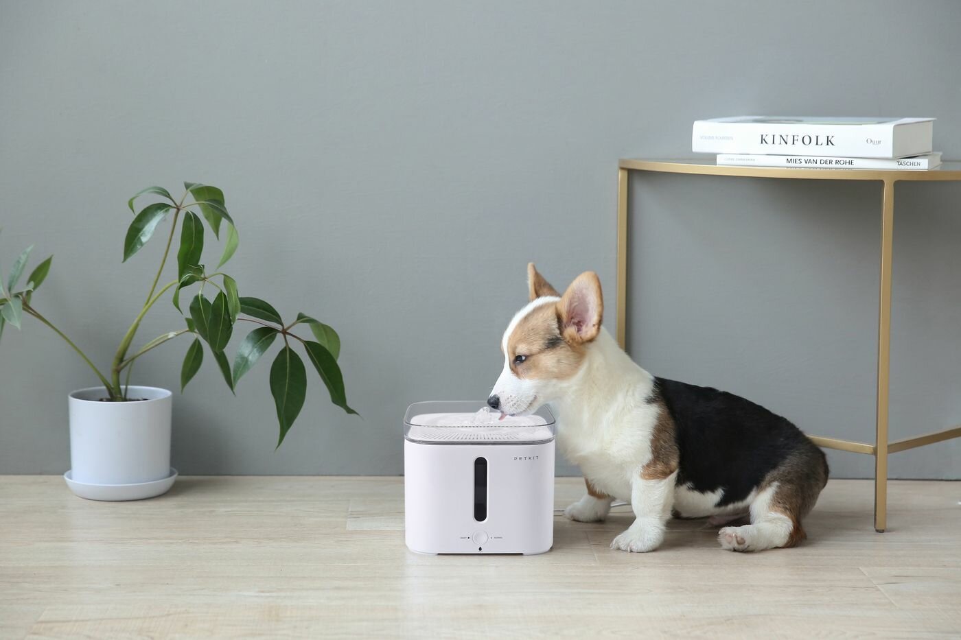 Умная автоматическая поилка Xiaomi Smart Pet Fountain, 2 л, Wi-Fi - фотография № 15