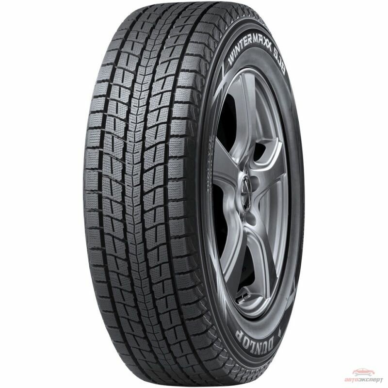 Автомобильные шины Dunlop SP Winter Maxx SJ8 255/50 R19 107R