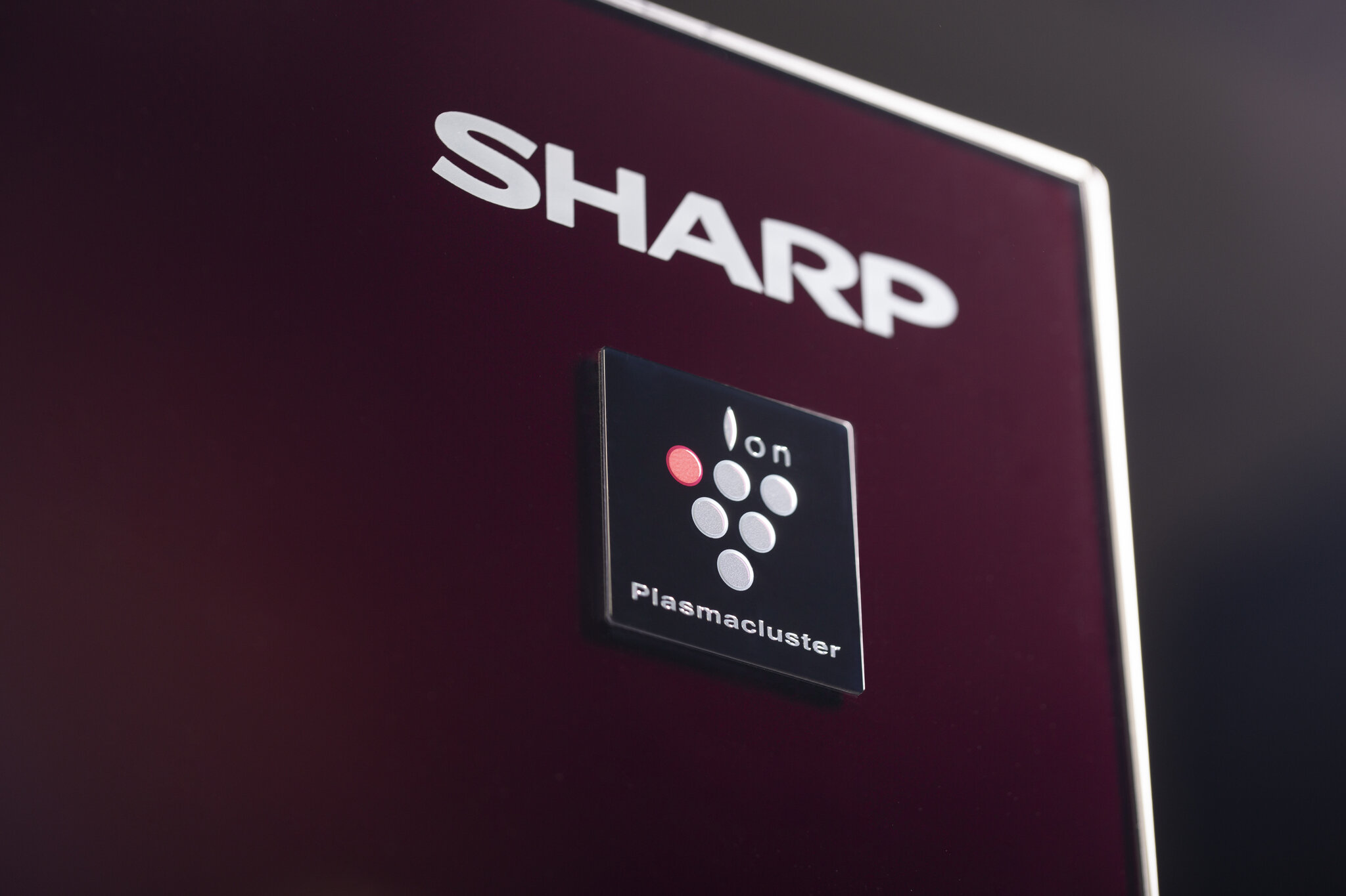 Холодильник Sharp SJ-GX98PRD, краcный - фото №5