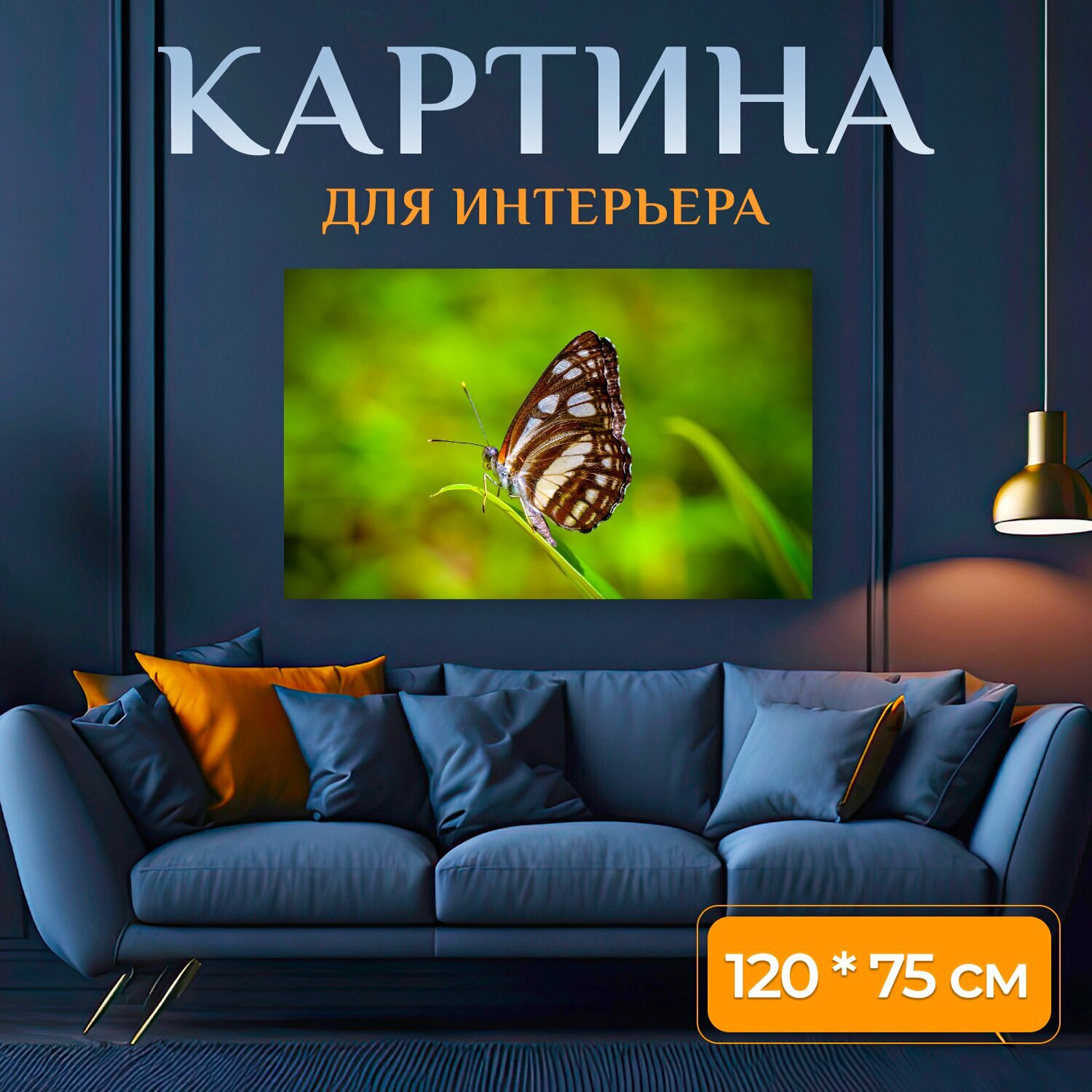Картина на холсте "Насекомое, бабочка простой цвет, вонг нимфалид" на подрамнике 120х75 см. для интерьера