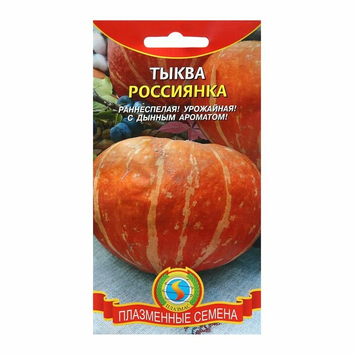 Семена Тыква Россиянка  2 г