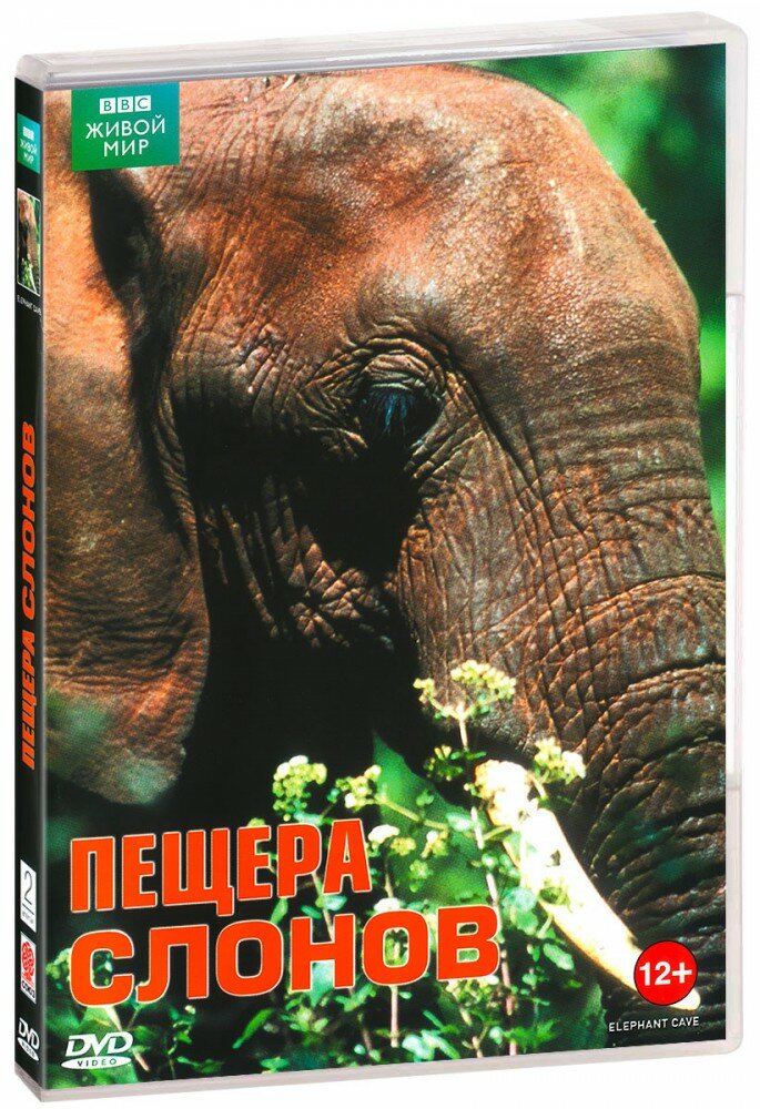 BBC: Пещера слонов (DVD)