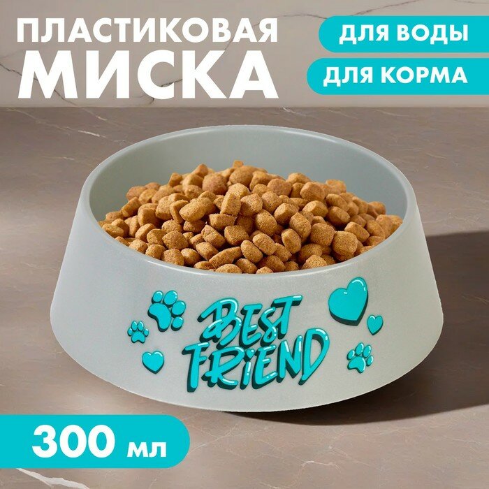 Миска пластиковая «Best Friend», серая, 300 мл - фотография № 1