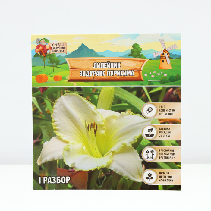 фото Лилейник "Purisima", р-р I, 1 шт, Весна 2024