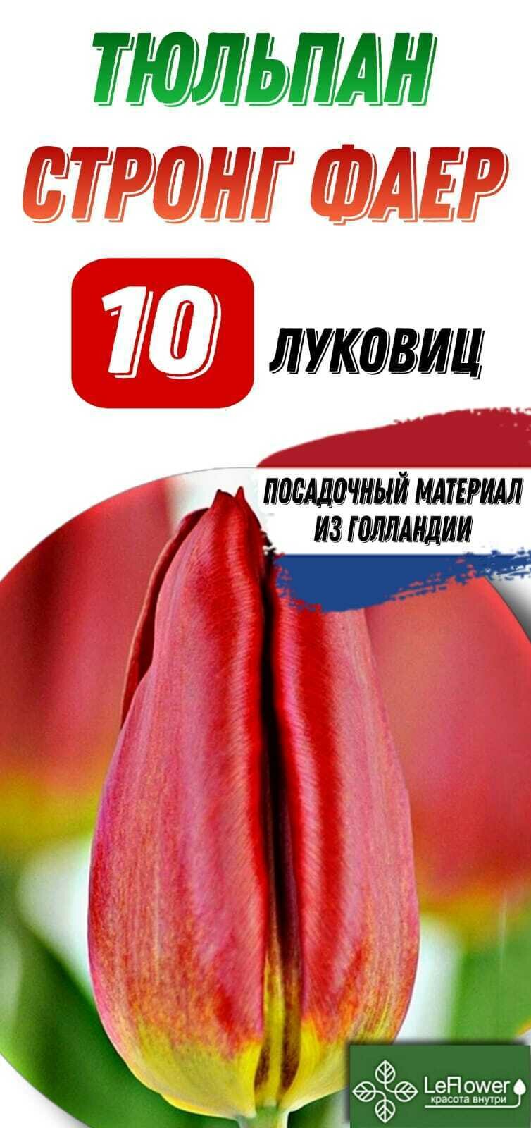 Тюльпан Луковица Стронг Файр 10шт