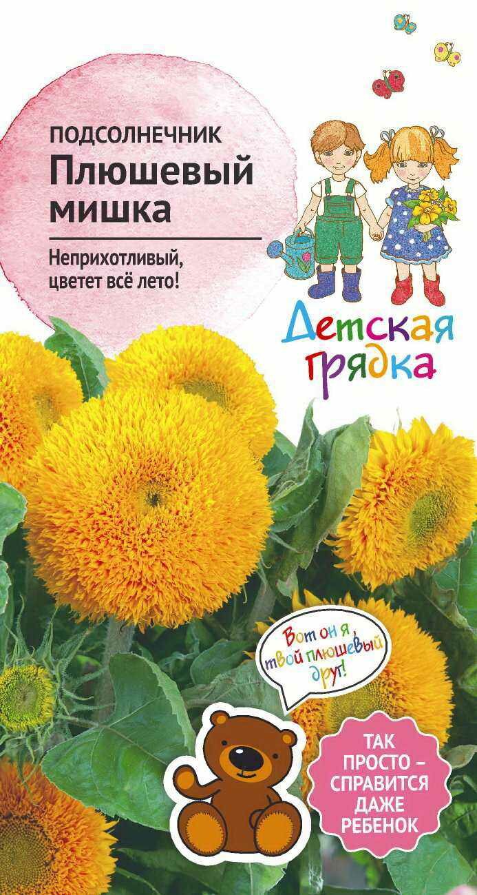 Семена Подсолнечник «Плюшевый мишка»