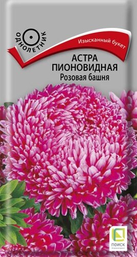 Астра Башня Розовая пионовидная 03г Одн 55см (Поиск)