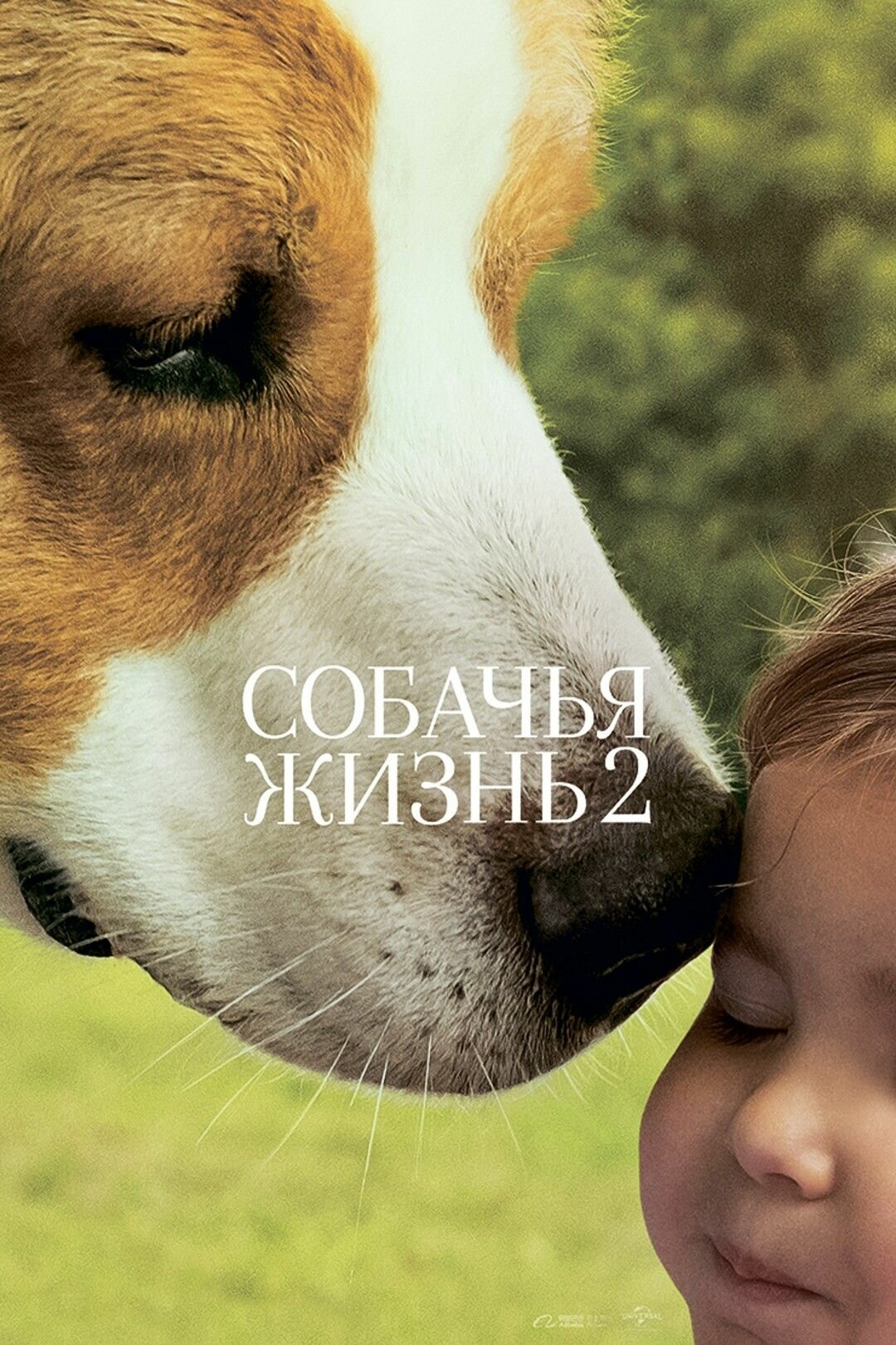 Собачья жизнь 2 (2019) (DVD-R)
