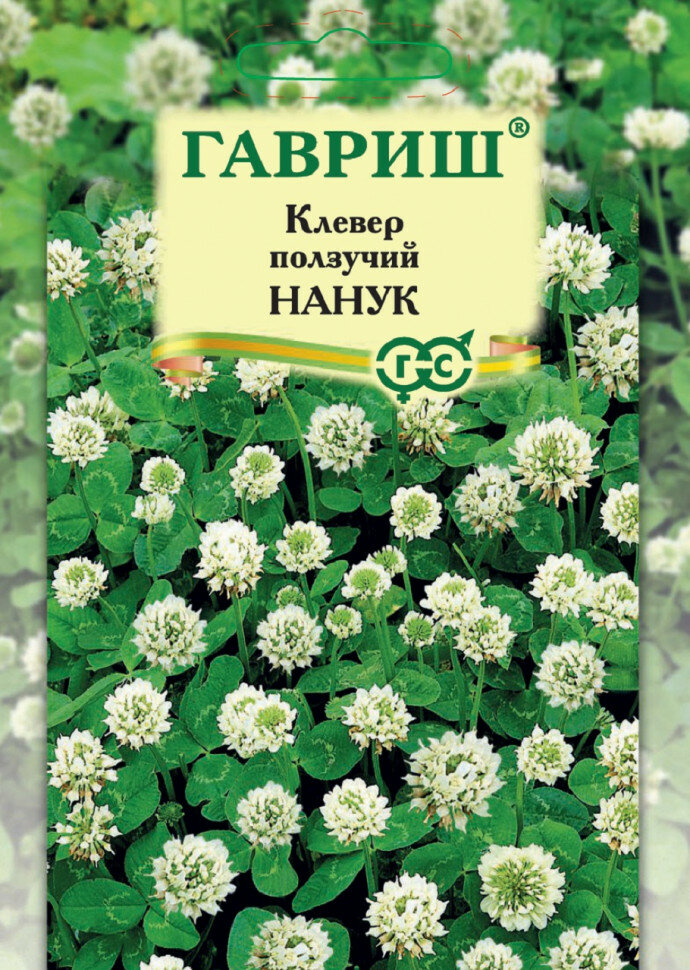 Семена Клевер ползучий белый Нанук 20г Гавриш 5 пакетиков