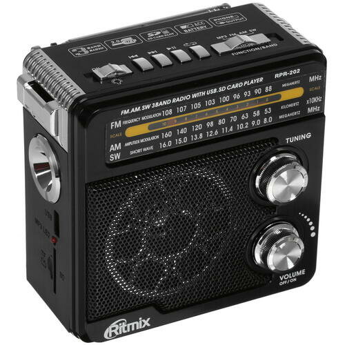 Радиоприемник Ritmix RPR-202_1