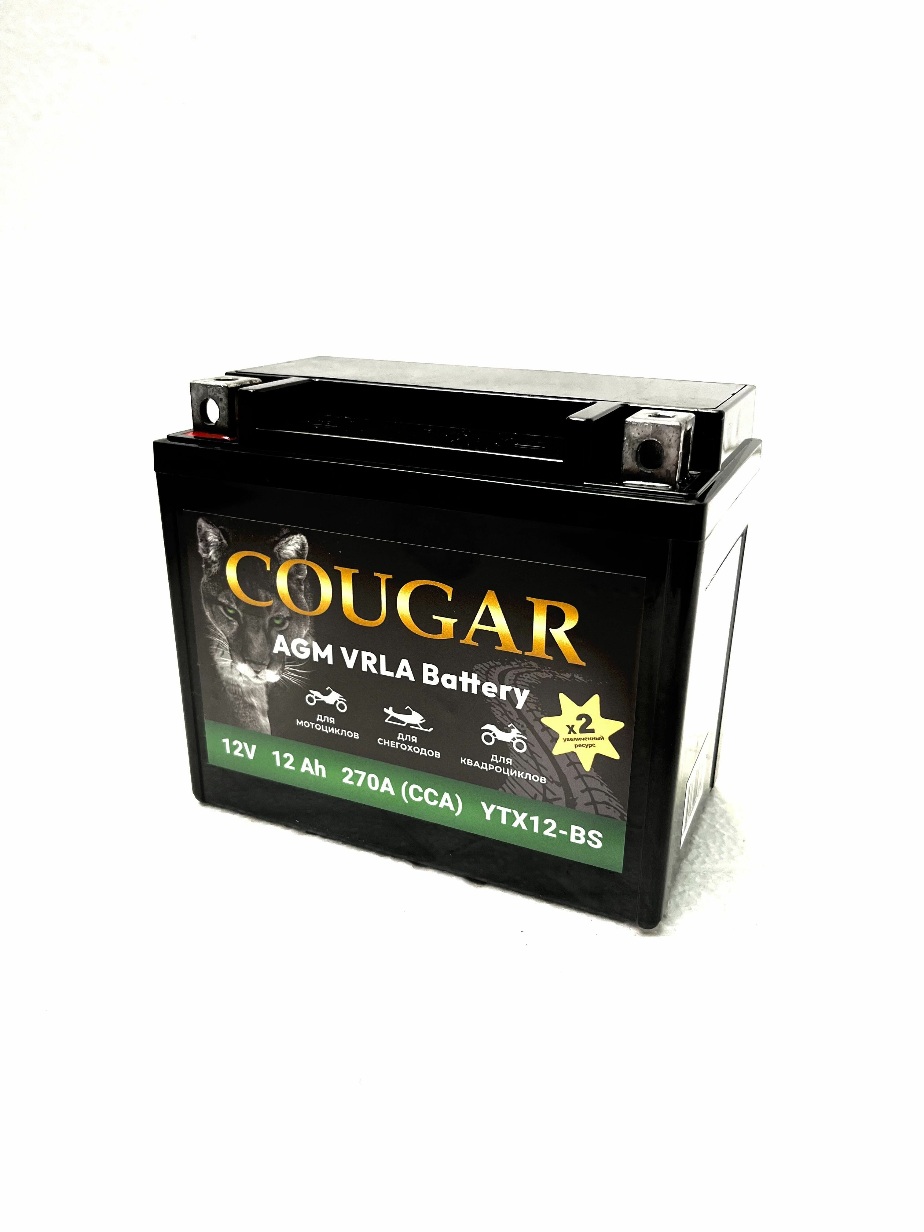 Мото аккумулятор COUGAR 12Ач L+ ССА 200А 150х87х130 YTX12-BS