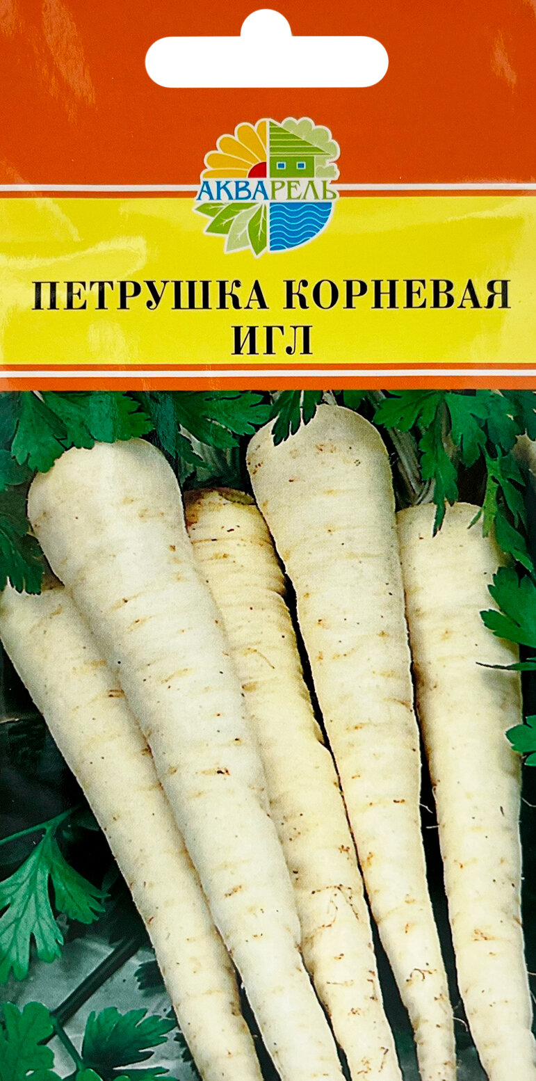 Петрушка корневая Игл