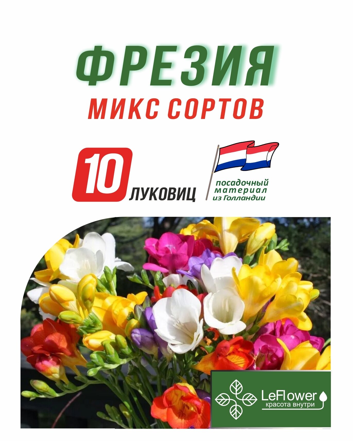 Луковица Фрезия микс сортов 10шт