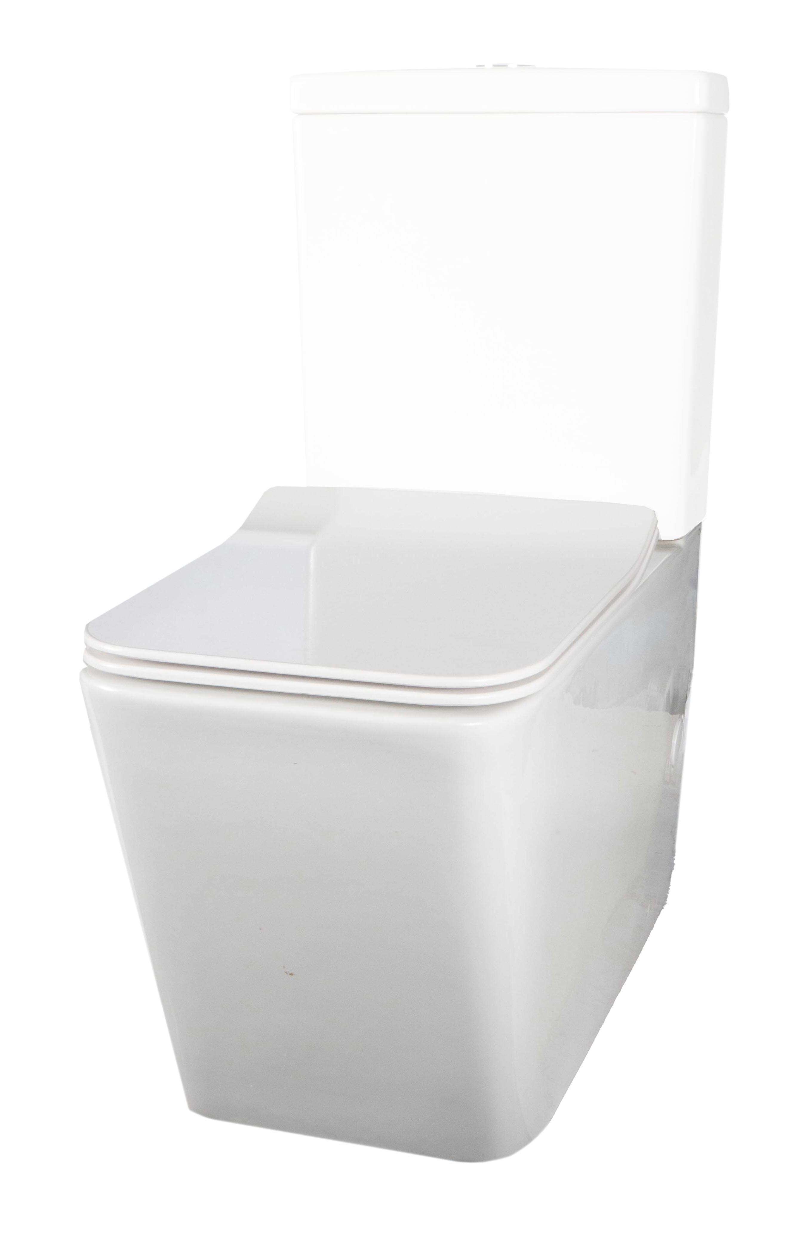 Чаша напольного унитаза безободкова¤ Trende Ewig TRE1002-004-WF с крышкой-сиденьем микролифт, белая