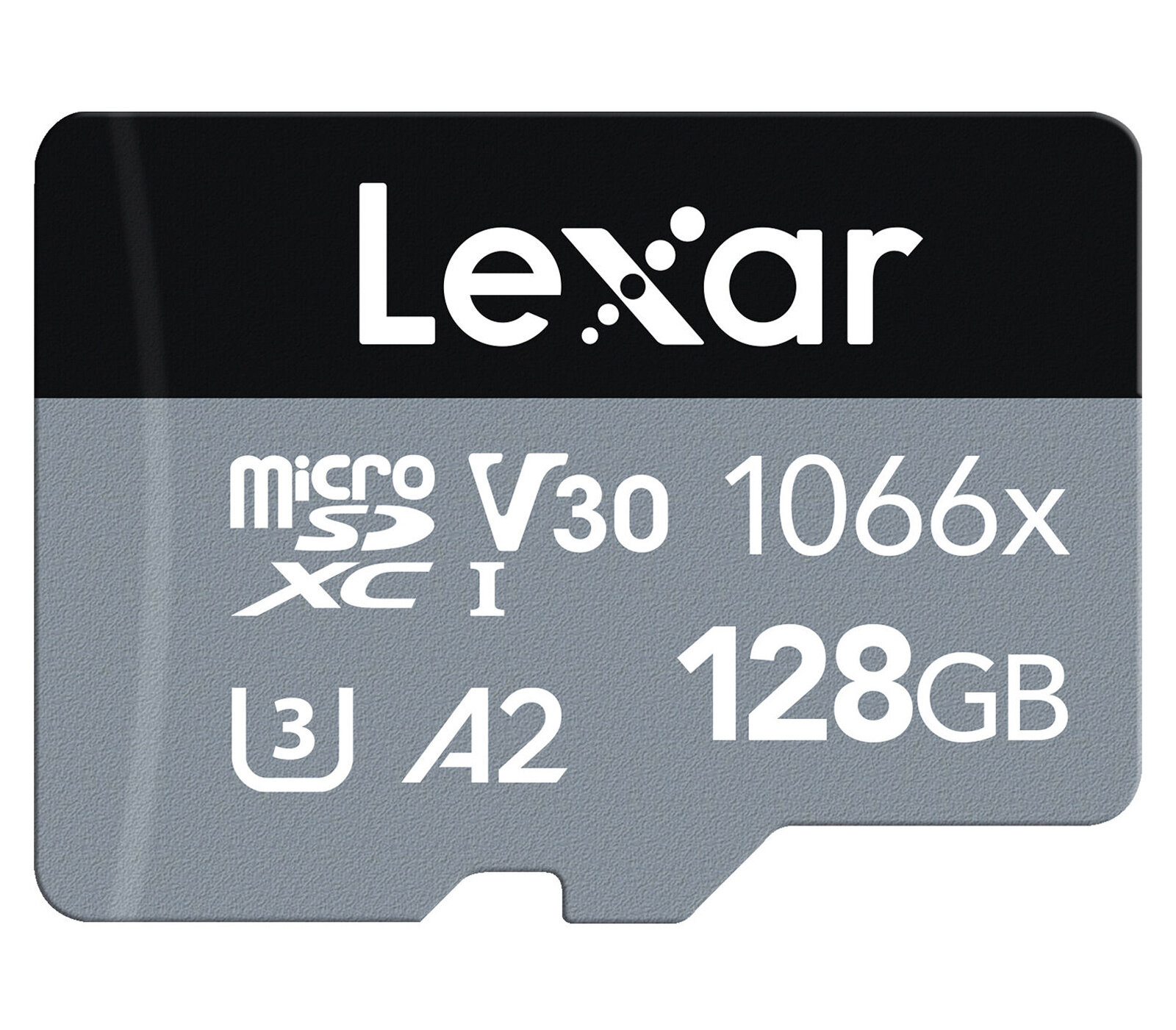 Lexar - фото №1